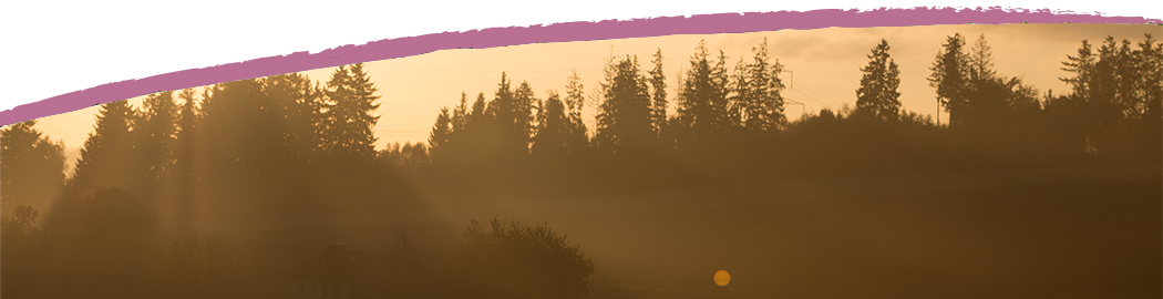 Sonnenaufgang über dem Hof